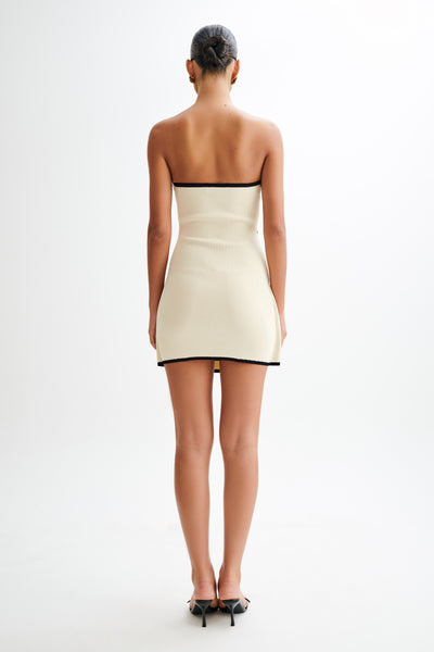 Rian Knit Mini Dress