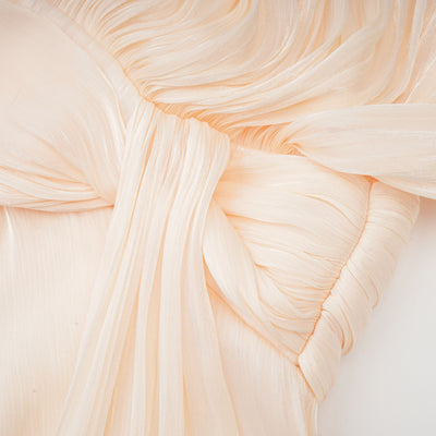 Rosie Pleated Ruffled Mini Dress